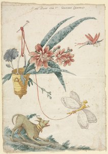 Florales Design mit Hund und Insekten