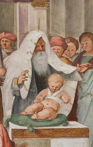 Zentrales Schiff, fünfter nördlicher Spann, Darstellung im Tempel, Gian Francesco Bembo von Gian Francesco Bembo