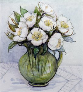 Weihnachtsrosen, 1984 von Gillian Lawson