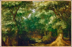 Waldlandschaft von Gillis van III Coninxloo