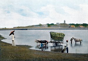 Colombo, Ceylon, ca. 1890