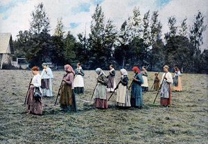 Heuernte um Moskau, Russland