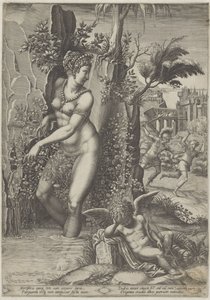 Venus und die Rose von Giorgio Ghisi