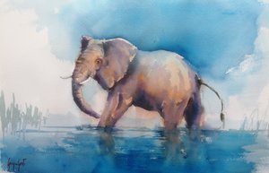 Majestätischer Elefant im Wasser