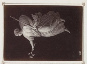 Fotoreproduktion von (vermutlich) einem Druck, darstellend eine Frauenfigur mit einem Zweig und einem Schwert in der Hand von Giorgio Sommer