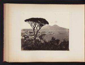 Ansicht von Neapel, Italien, mit einer Kiefer im Vordergrund von Giorgio Sommer