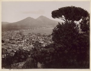 Panorama von Neapel von Giorgio Sommer