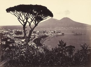 Panorama von Vomero mit Kiefer