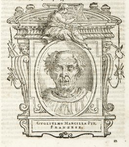 Milan, Biblioteca Braidense, Vite de piv excellent, Giorgio Vasari 1568, Guglielmo Marcilla