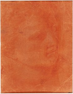 Kopf im Dreiviertelprofil (recto); Stehender junger Mann, der nach links zeigt und Skizzen von Füßen, Arm (verso) von Giorgione