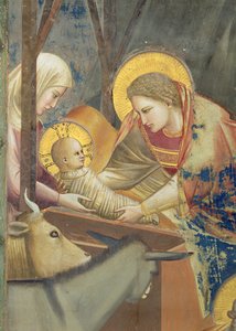 Die Geburt Christi, um 1305 (Detail)