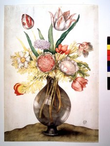 Mohnblumen, Tulpen und Pfingstrose von Giovanna Garzoni