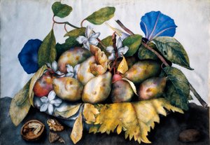 Teller mit Pflaumen, Jasmin und Nüssen. Malerei auf Pergament von Giovanna Garzoni (1600-1670) von Giovanna Garzoni