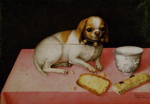 Porträt eines Hundes von Giovanna Garzoni