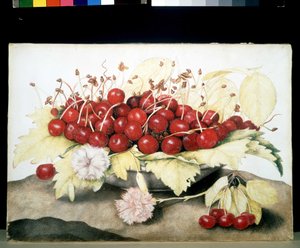 Unbekanntes Bild von Giovanna Garzoni