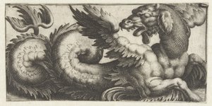 Geflügelter Seehund, der zurückblickt von Giovanni Andrea Maglioli