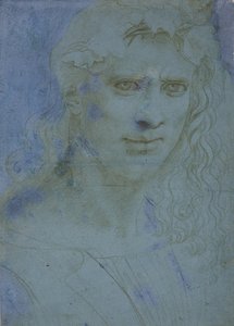 Büste eines jungen Mannes mit Dornenkrone und Weinsprossen, um 1495 von Giovanni Antonio Boltraffio