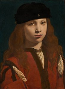 Porträt eines Jugendlichen, ca. 1495-1498 von Giovanni Antonio Boltraffio