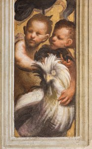 Zentrales Schiff, Lesene oberer Teil über Kapitell erster und zweiter Spann südlich, Puttini (Detail) von Giovanni Antonio Pordenone