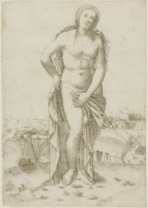 Venus von Giovanni Antonio da Brescia