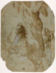 Bekehrung des Hl. Paulus (recto); Mann von hinten gesehen (verso)