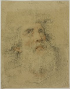 Kopf von König Lear