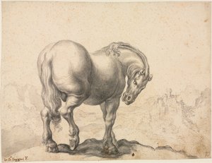 Studie eines Hengstes, erstes Drittel des 18. Jahrhunderts