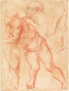 Studien eines männlichen Aktes von Giovanni Battista Naldini