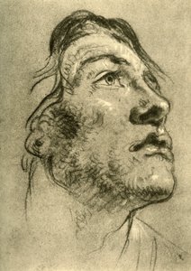 Kopf eines jungen Mannes, fast im Profil und nach oben blickend von Giovanni Battista Tiepolo