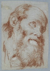 Kopf eines alten bärtigen Mannes von Giovanni Battista Tiepolo