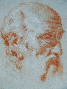 Studie der Büste von Giulio Contarini von links gesehen von Giovanni Battista Tiepolo