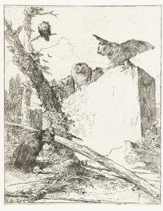 Titelblatt für Scherzi di fantasia mit Eulen bei einem Stein von Giovanni Battista Tiepolo