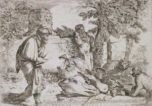 Diogenes sucht einen ehrlichen Mann