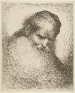 Kopf eines bärtigen alten Mannes von Giovanni Benedetto Castiglione