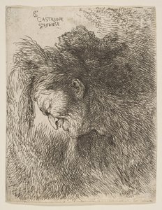Kopf eines alten Mannes, der nach unten schaut, nach links gewandt, aus der Serie der kleinen Köpfe, ca. 1645-1650 von Giovanni Benedetto Castiglione