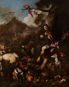 Orpheus singt den Tieren vor von Giovanni Benedetto Castiglione