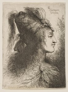 Junger Mann mit Federhut, nach rechts blickend, aus der Serie Kleine Köpfe von Giovanni Benedetto Castiglione