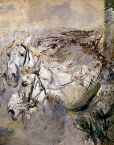 Zwei weiße Pferde von Giovanni Boldini