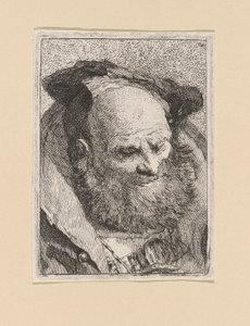 Bärtiger alter Mann, aus der Raccolta di Teste (Sammlung von Köpfen)