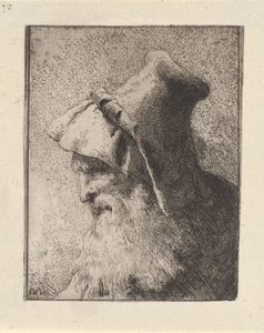 Profil eines älteren Mannes mit Bart, aus der Raccolta di Teste (Sammlung von Köpfen) von Giovanni Domenico Tiepolo