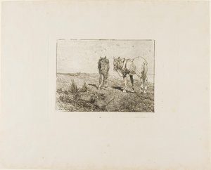 Ruhe der Pferde von Giovanni Fattori