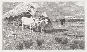 Ochsen, die an den Wagen gespannt sind (Maremma) von Giovanni Fattori