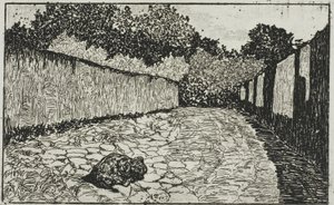 Kleine Straße am Stadtrand von Florenz mit Welpen