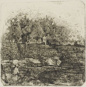 Bäume auf einer Wiese von Giovanni Fattori