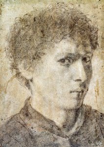Kopf eines jungen Jungen, Zeichnung von Gian Girolamo Savoldo, schwarzer Bleistift und weiße Kreide, Italien