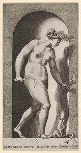 Tafel 14: Ceres in einer Nische, nach rechts blickend, über einer zweiköpfigen Schlange stehend von Giovanni Jacopo Caraglio