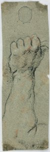 Studie: Ein erhobener Unterarm und linke Hand, die etwas hält von Giovanni Maria Viani