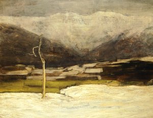 Landschaft von Savognino