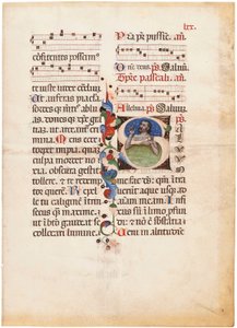 Der Psalmist im Meer, Initiale 