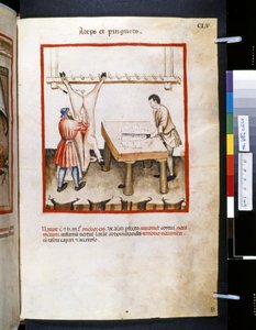 Theatrum sanitatis von Ububchasym de Baldach: 